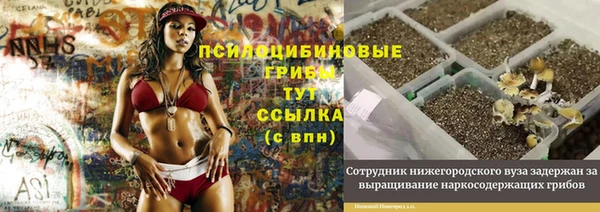 метадон Алексеевка